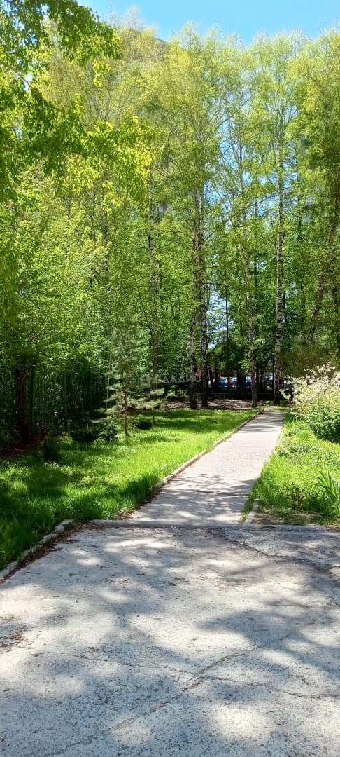 Photo 33