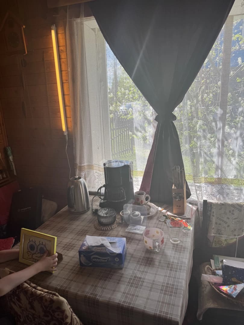 Photo 19