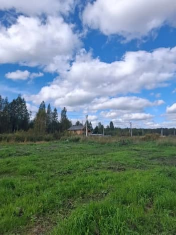 Купить земельный участок в Деревне Хвойном в Приозерском районе в Ленинградской области. Вариант № 2216274, 0, площадь - квм, цена 900000 рублей