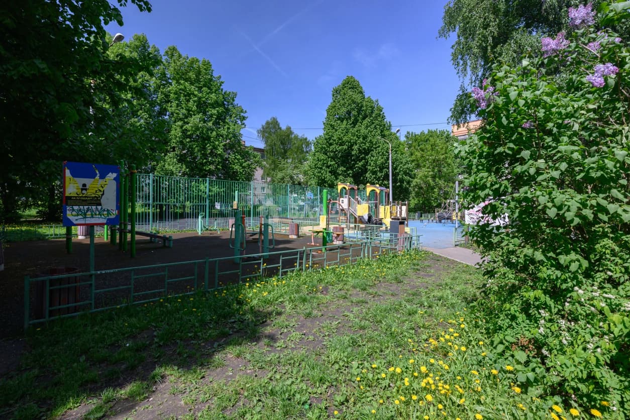 Photo 42