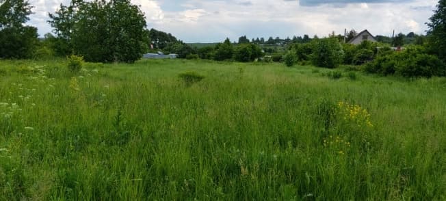 Купить земельный участок в Деревне Панине в Муниципальном Округе Егорьевске в Московской области. Вариант № 2220874, 0, площадь - квм, цена 980000 рублей