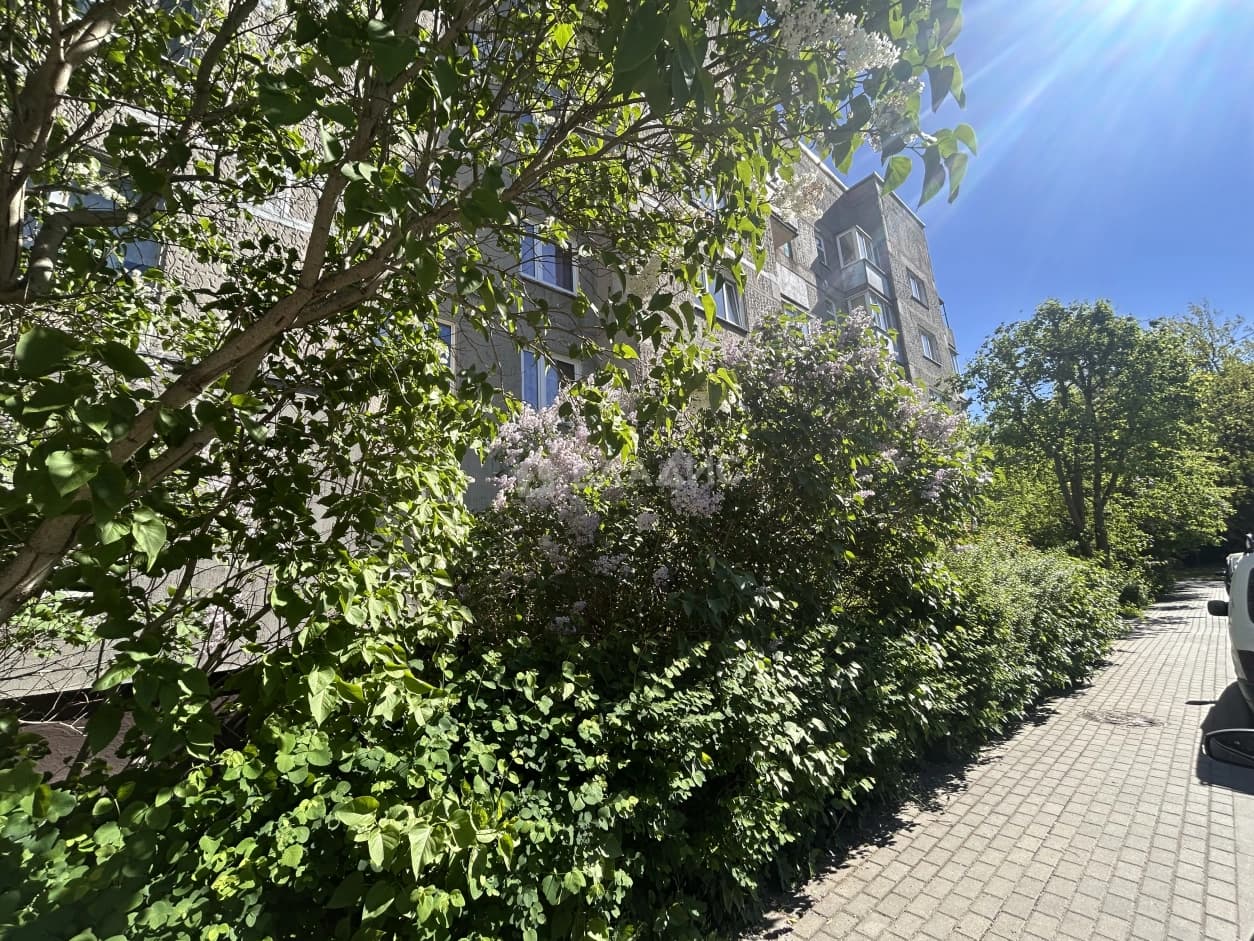 Photo 29