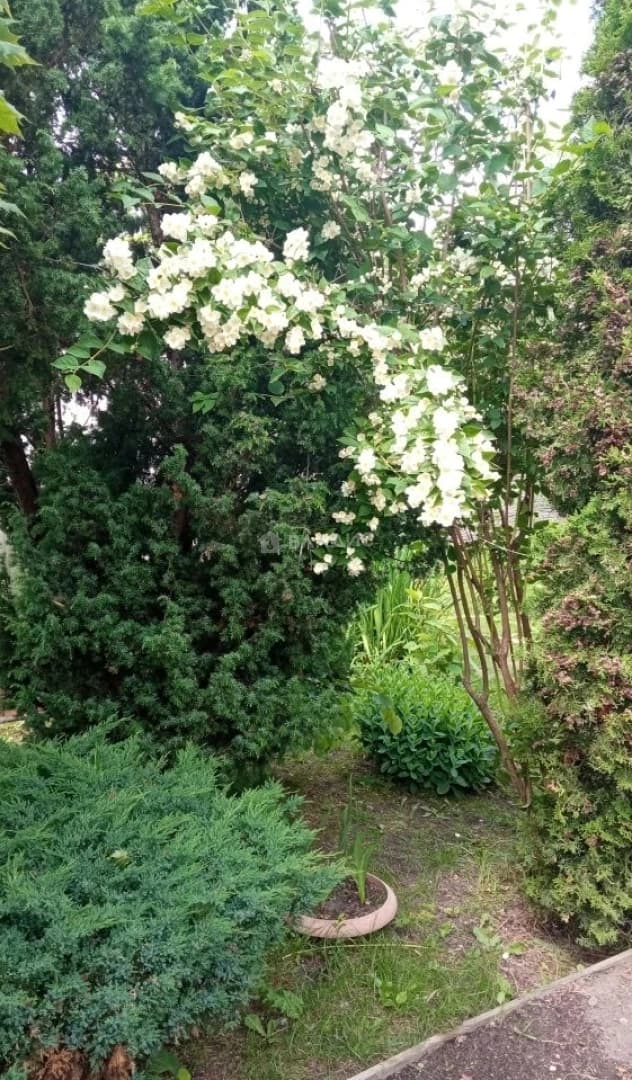 Photo 34