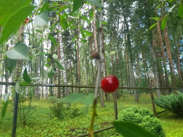 Купить дом в селе Кривцы в Раменском Муниципальном Округе на улице Романтики, село Кривцы в Московской области. Вариант № 2257133, 1, площадь - квм, цена 1600000 рублей