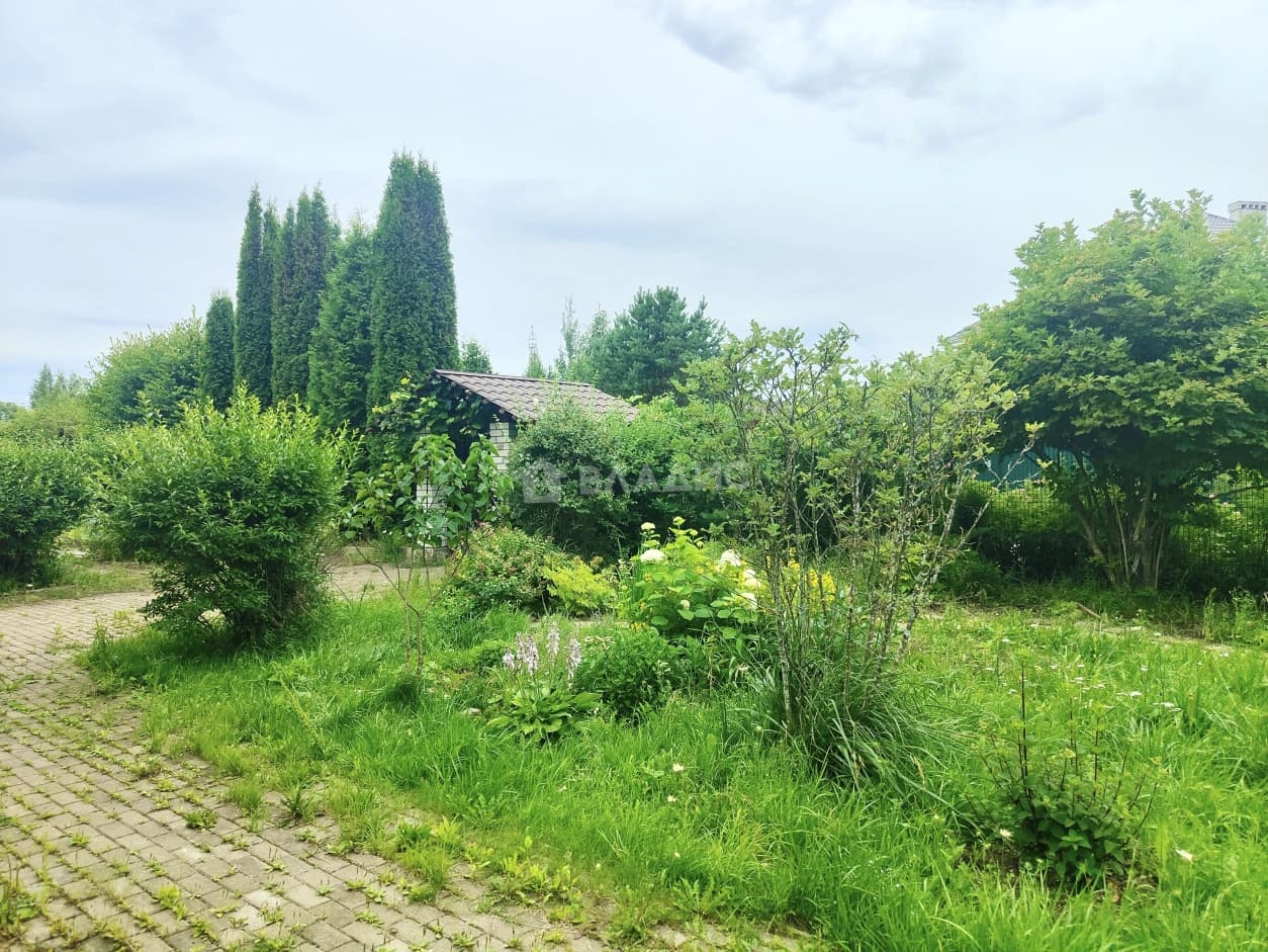 Photo 47
