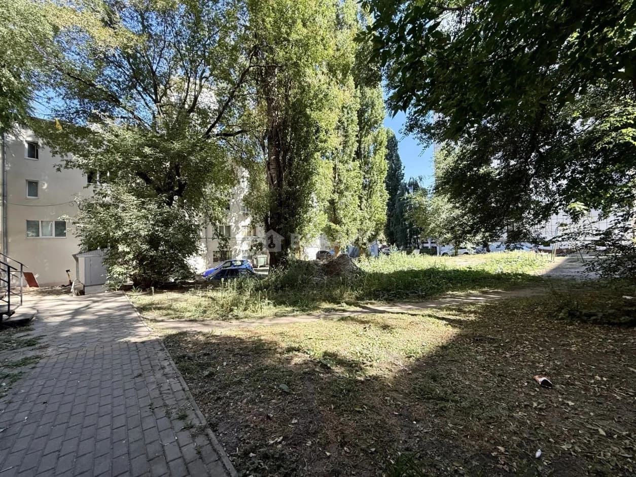 Photo 31