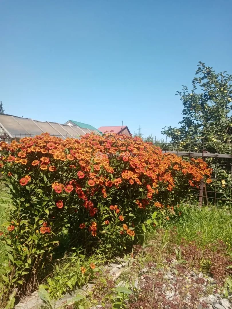 Photo 20