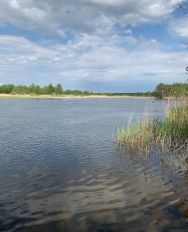Купить земельный участок в Хохольском районе в Воронежской области. Вариант № 2298964, 1, площадь - квм, цена 110000000 рублей
