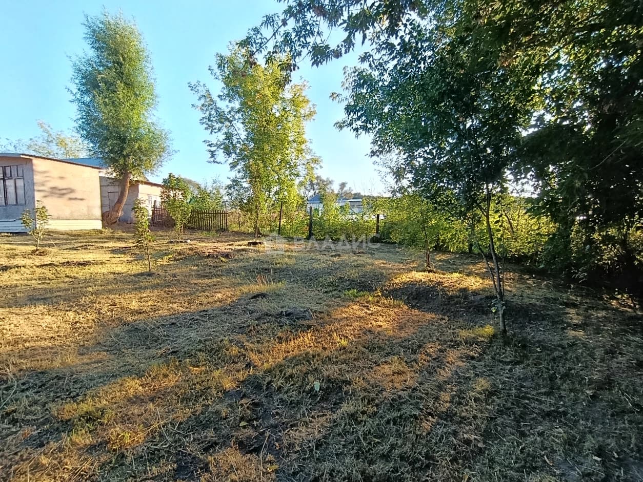 Photo 43