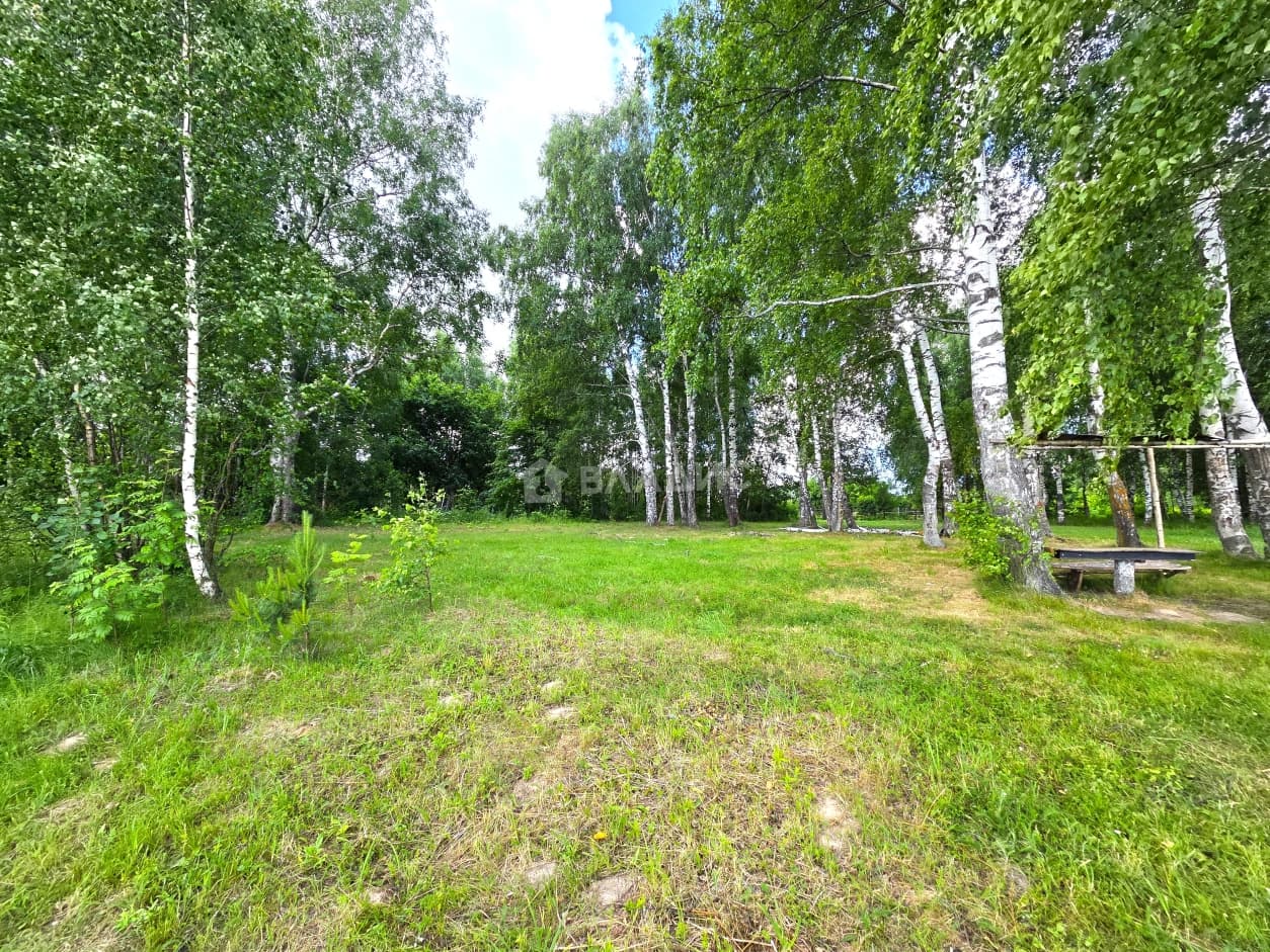 Photo 46