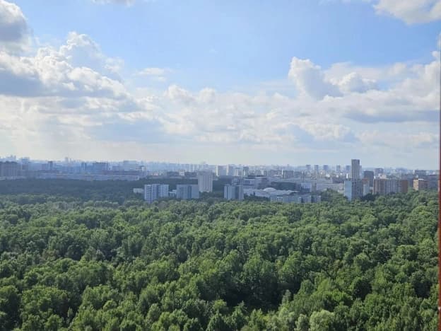 Купить однокомнатную квартиру на вторичке на улице Домодедовская в Москве. Вариант № 2364593, 0, площадь - квм, цена 12970000 рублей