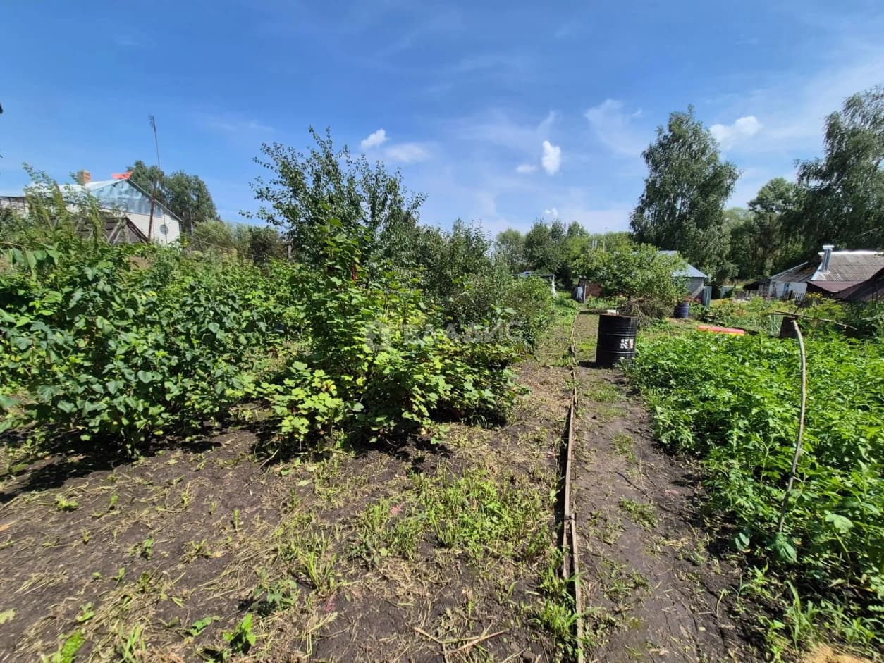 Photo 26