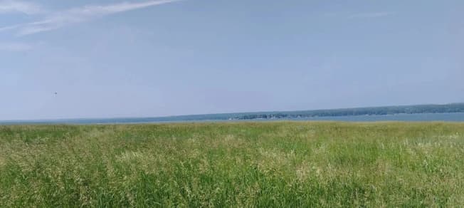 Купить земельный участок в Дачном Посёлоке Мочище в Новосибирском районе в Новосибирской области. Вариант № 2226928, 1, площадь - квм, цена 2100000 рублей