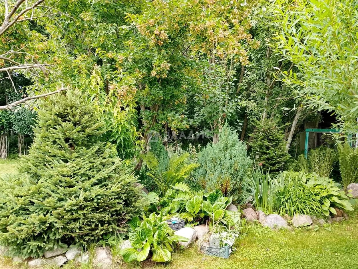Photo 23