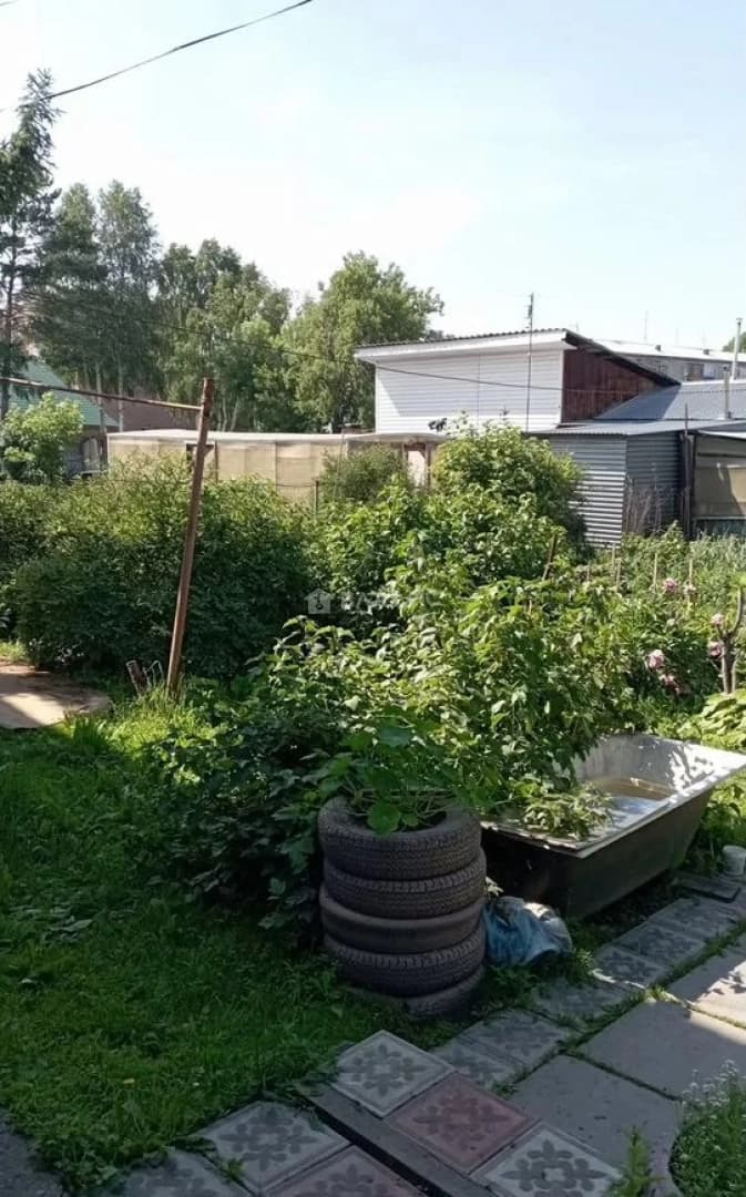 Photo 8