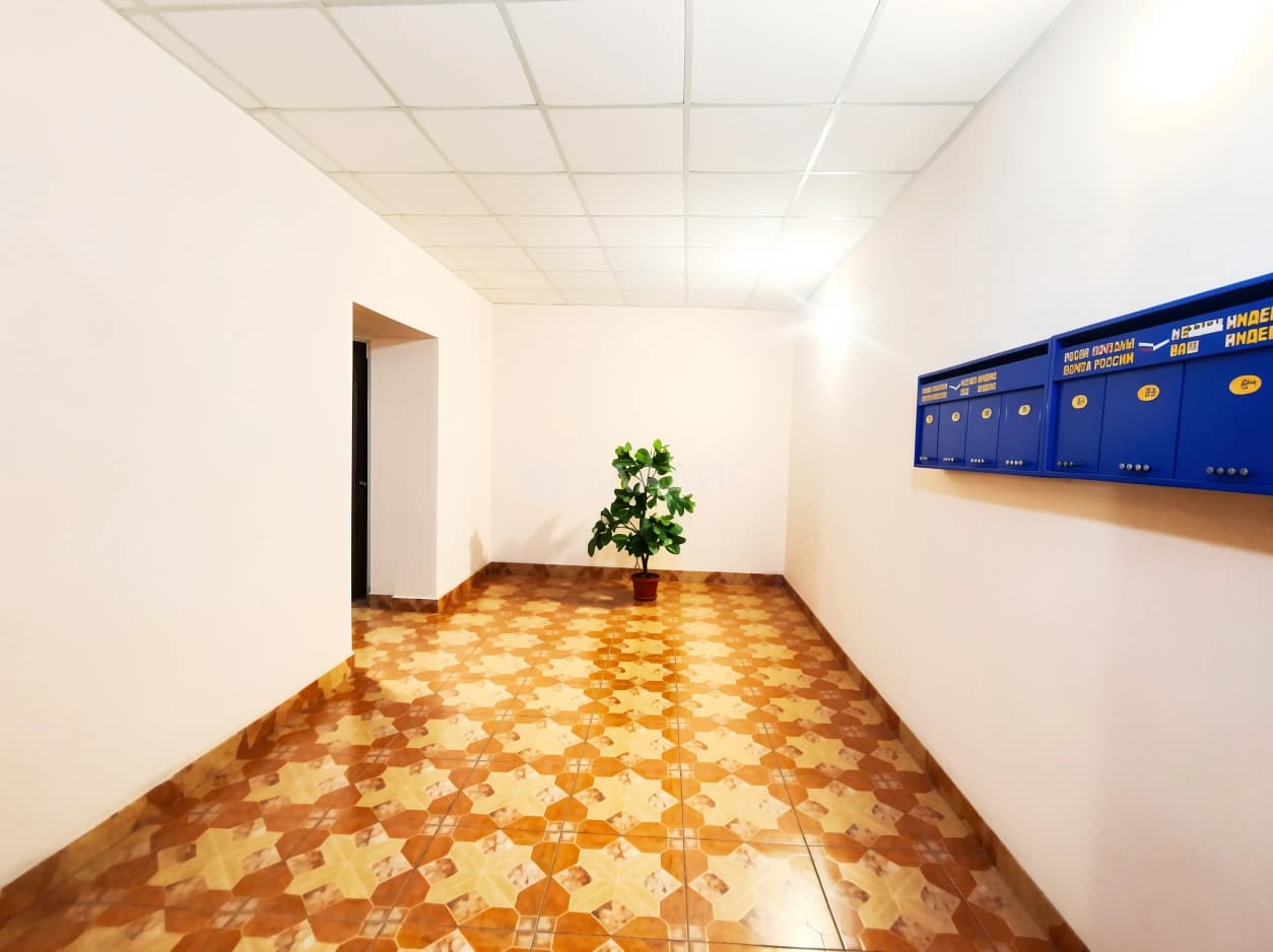 Photo 12
