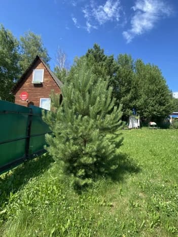 Купить земельный участок в Новосибирской области. Вариант № 2292265, 0, площадь - квм, цена 350000 рублей