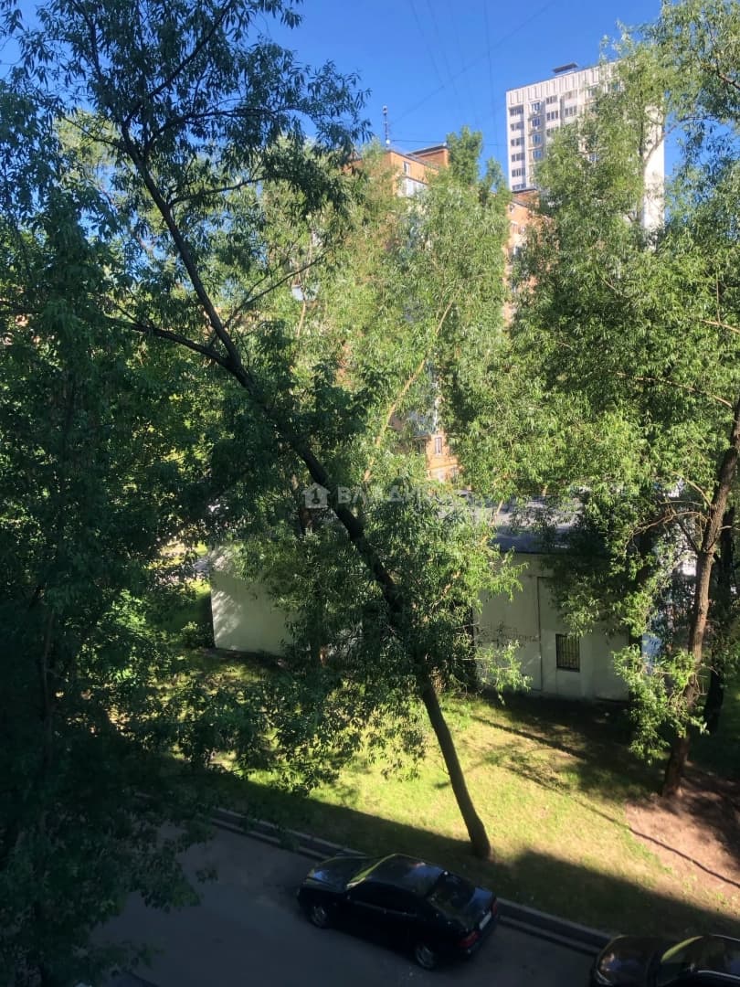 Photo 29