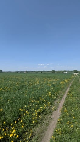 Купить земельный участок в Муниципальном Округе Сокольском в Нижегородской области. Вариант № 2198371, 1, площадь - квм, цена 2300000 рублей