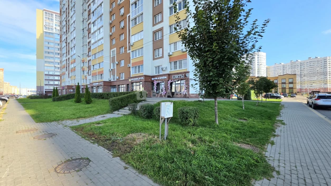 Photo 29