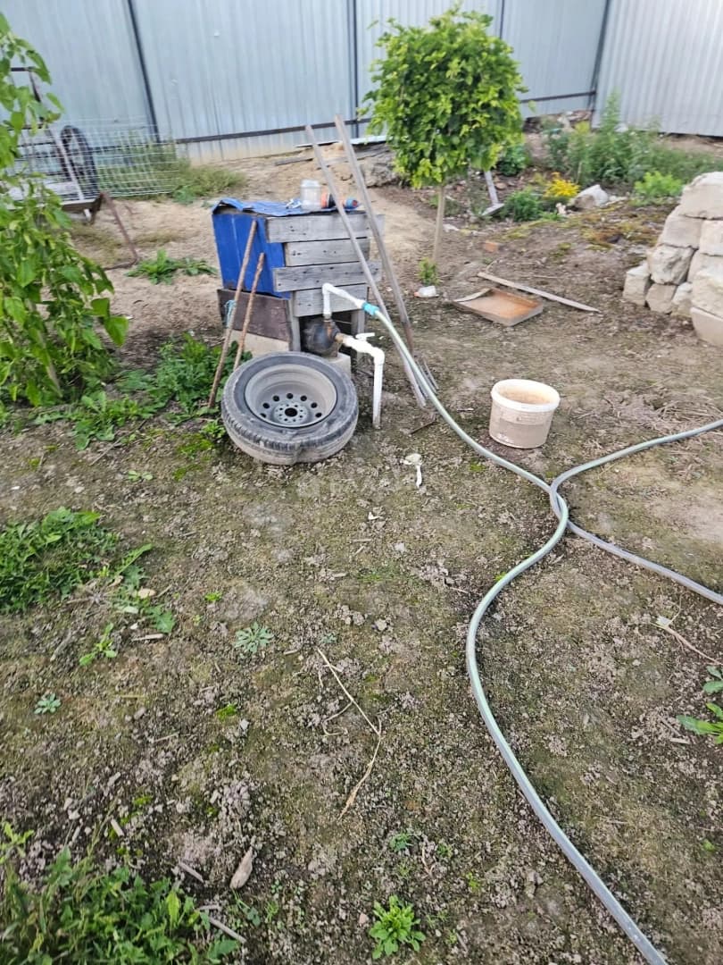 Photo 5