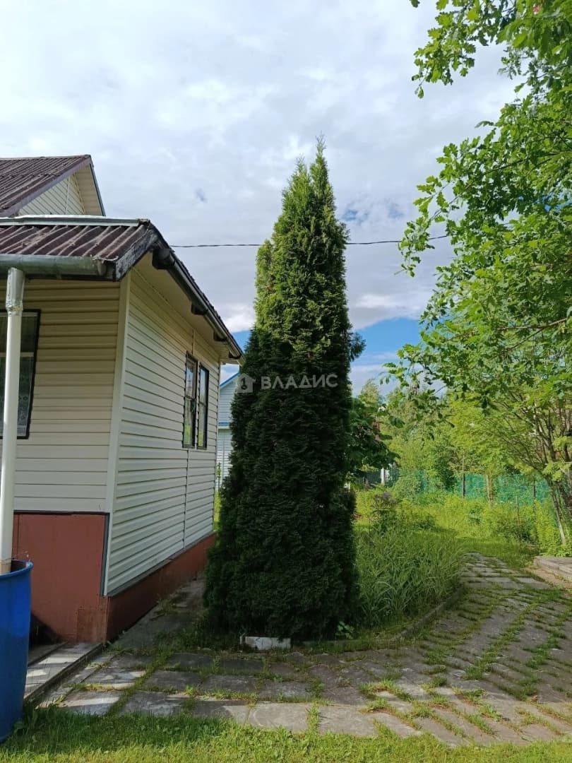 Photo 43