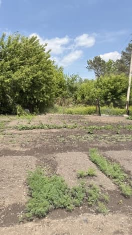 Купить дом в Уссурийске. Вариант № 2203226, 0, площадь - квм, цена 8900000 рублей