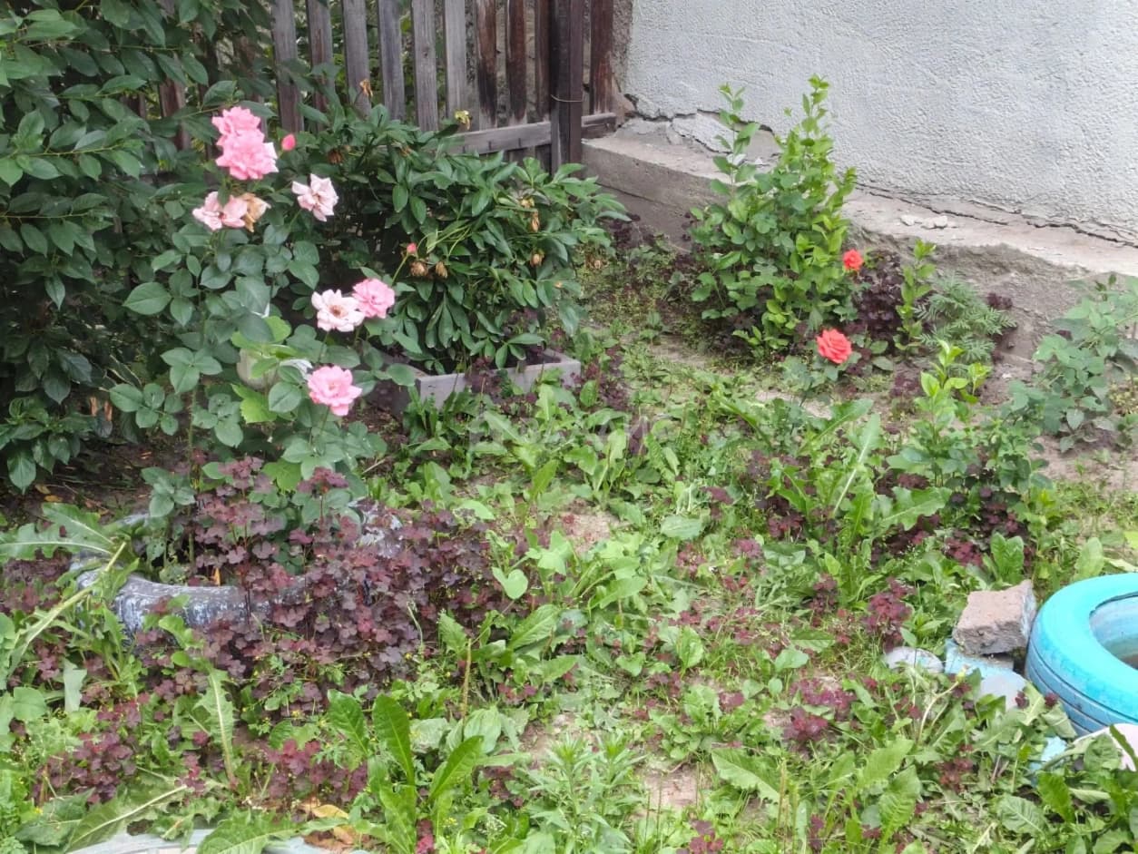 Photo 22