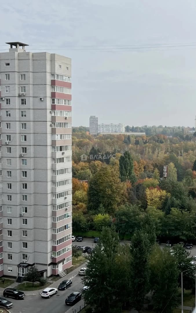 Photo 35