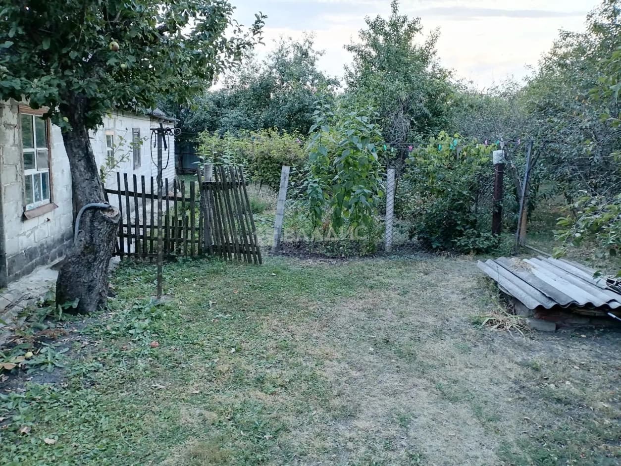 Photo 24