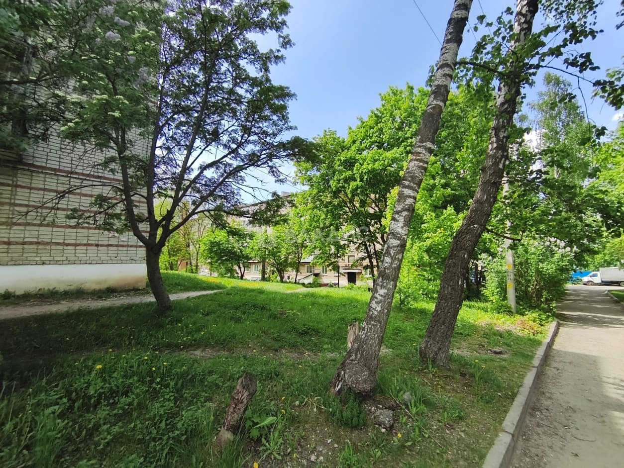 Photo 25