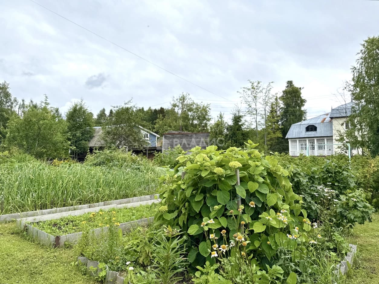 Photo 29
