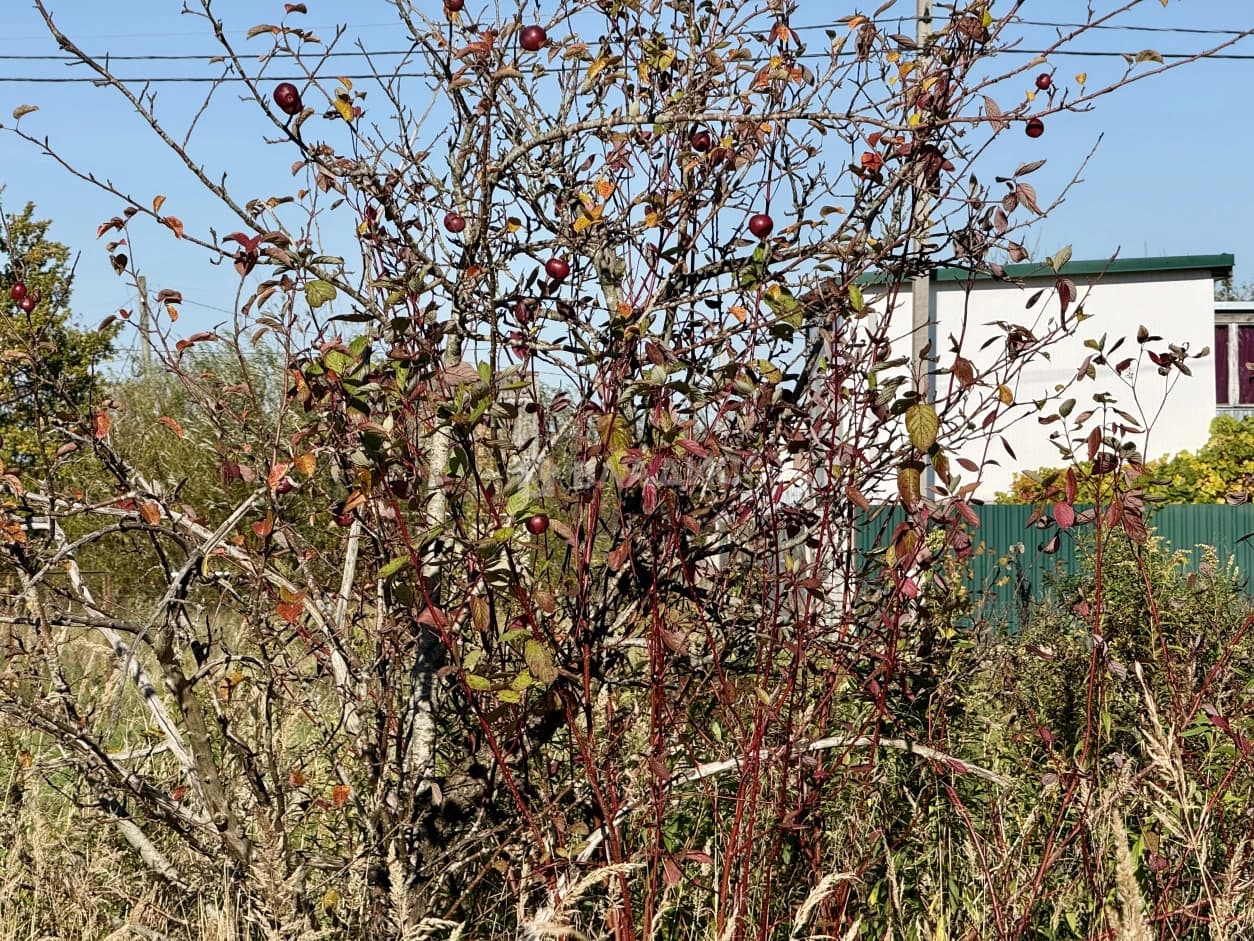 Photo 22