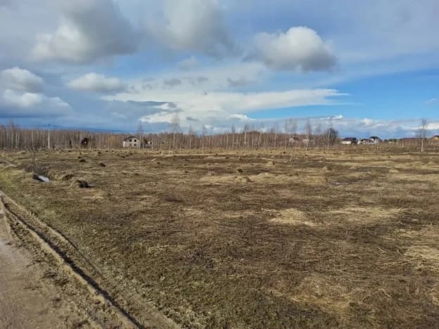 Купить земельный участок в селе Тырново в Пронском районе в Рязанской области. Вариант № 2111043, 1, площадь - квм, цена 1000000 рублей