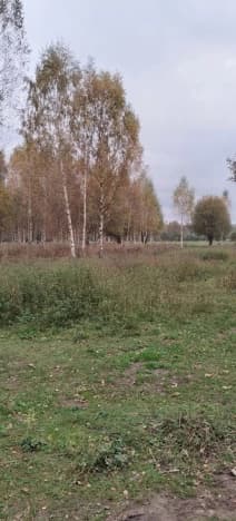 Купить земельный участок в Деревне Горках в Камешковском Муниципальном Округе в Владимирской области. Вариант № 2370742, 1, площадь - квм, цена 1000000 рублей