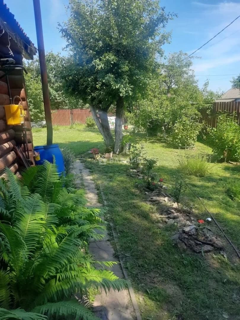 Photo 35
