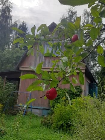 Купить дачу в Рузском Муниципальном Округе в Московской области. Вариант № 2189386, 0, площадь - квм, цена 1740000 рублей