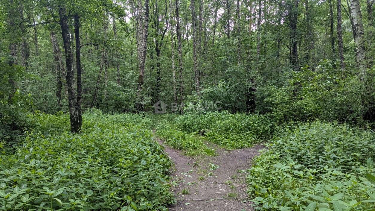 Photo 49