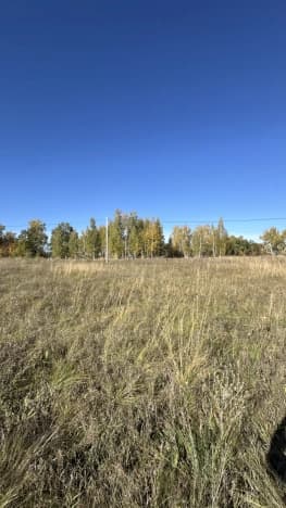 Купить земельный участок в Посёлоке Городского Типе Васильеве в Зеленодольском районе в Республике Татарстан (татарстан). Вариант № 2372321, 0, площадь - квм, цена 1100000 рублей