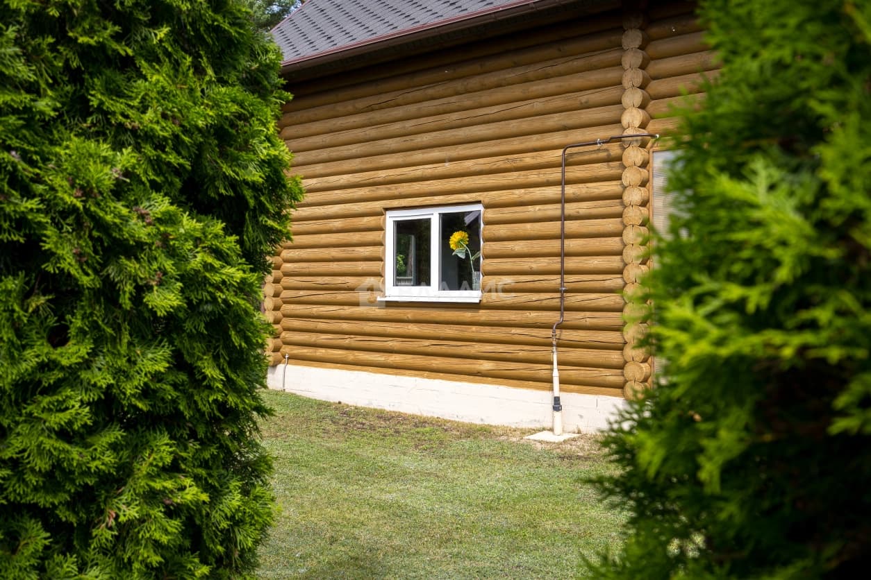 Photo 42