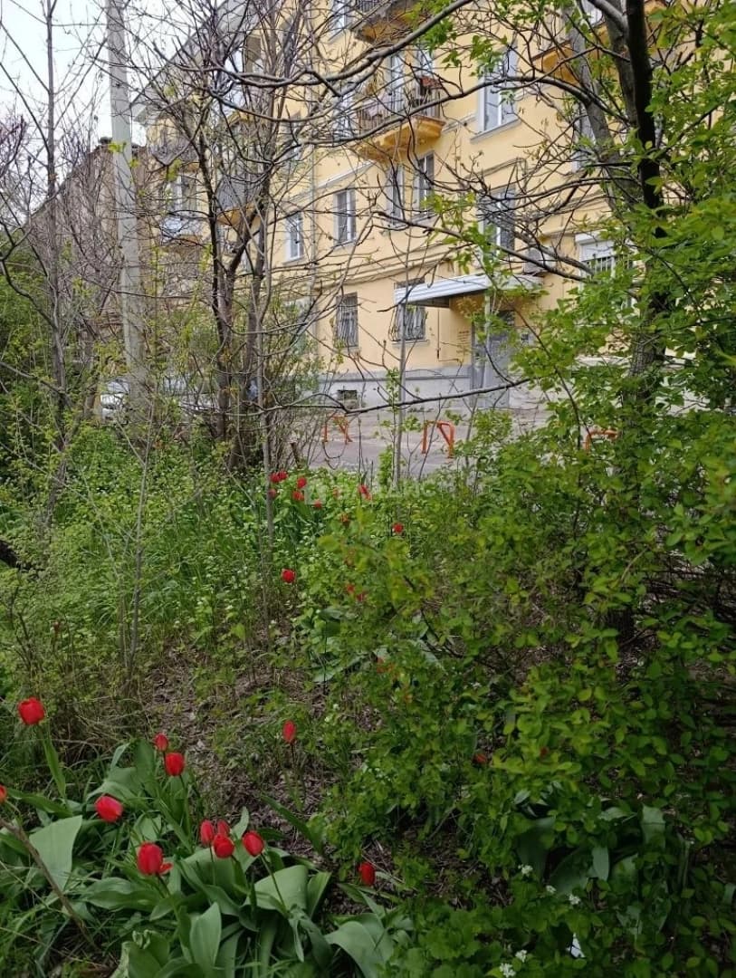 Photo 35