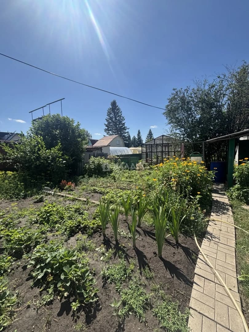 Photo 22
