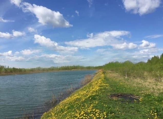 Купить дачу до 1 млн в Московской области. Вариант № 1730773, 0, площадь - квм, цена 400000 рублей