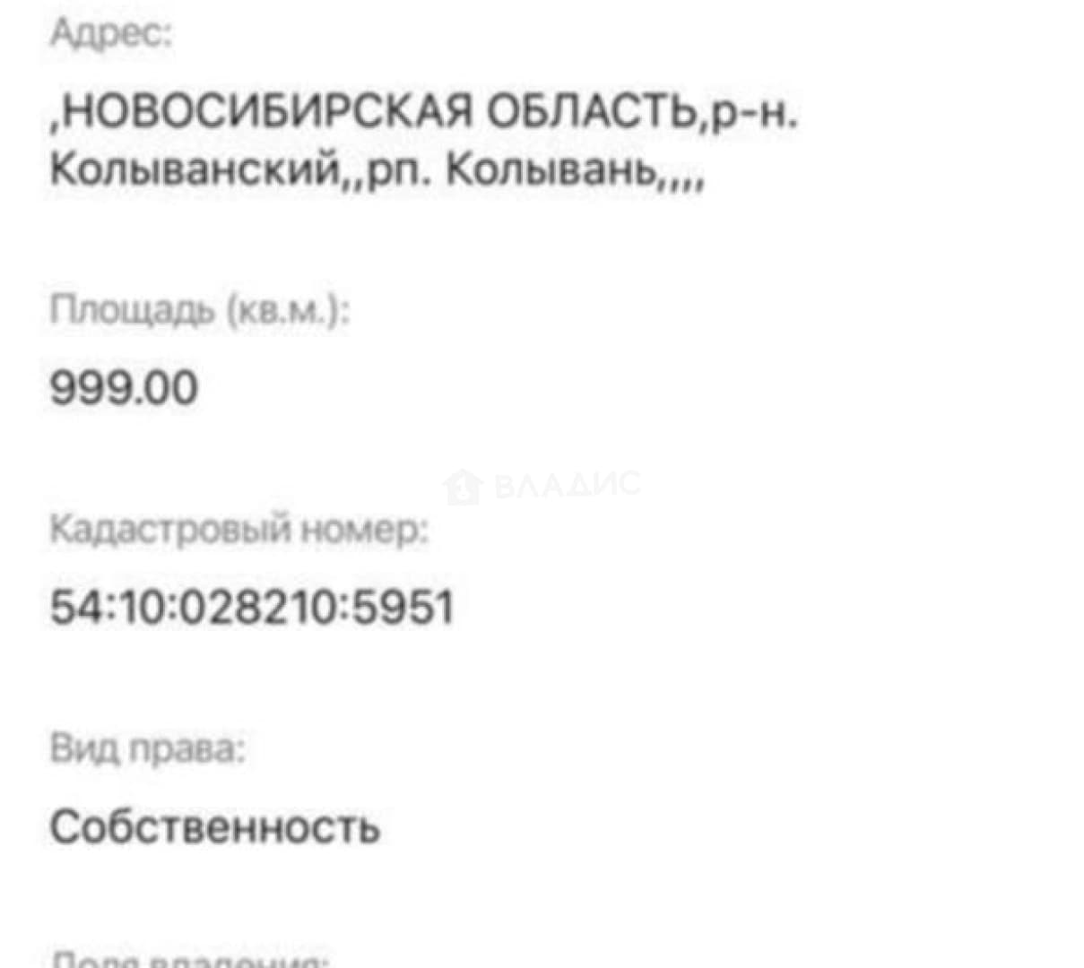 Photo 5