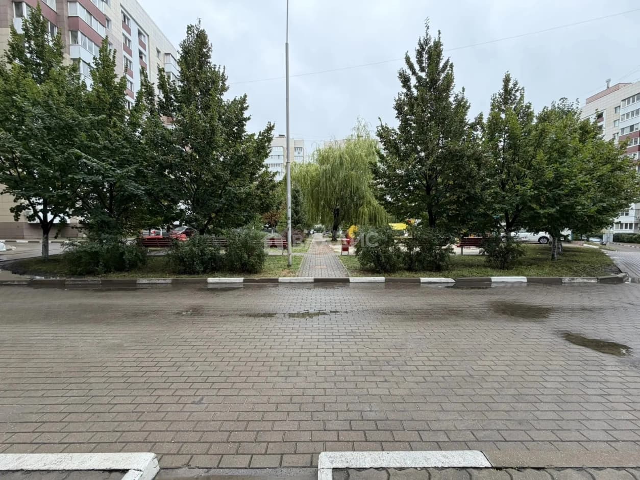 Photo 17