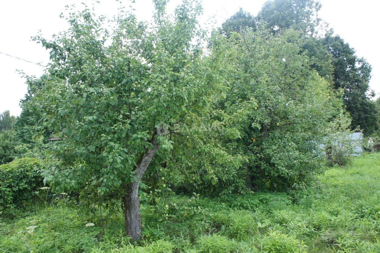 Photo 48