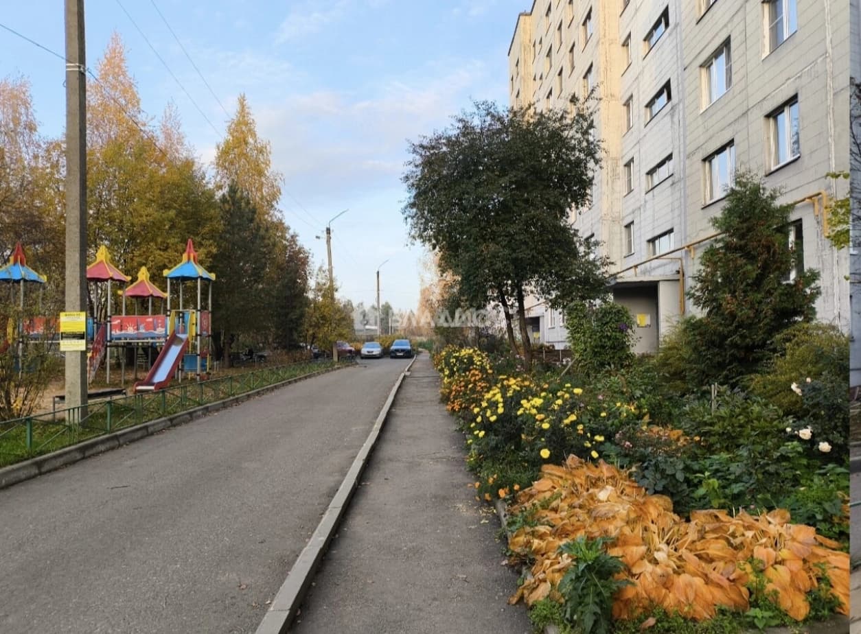 Photo 23