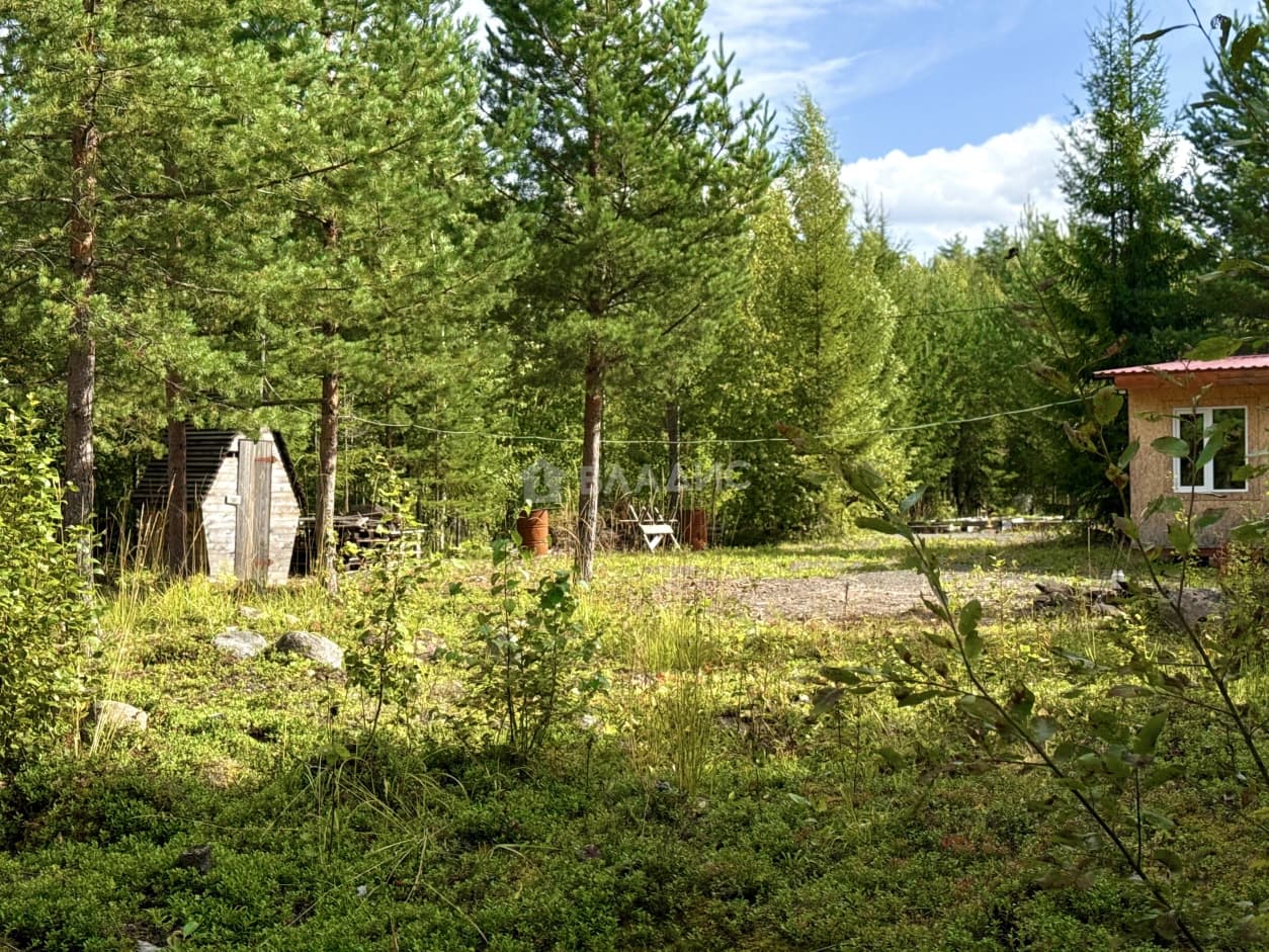 Photo 28