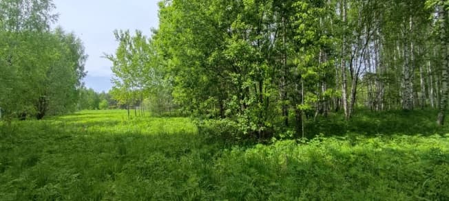 Купить земельный участок в селе Богослово в Суздальском районе на улице Западная , село Богослово в Владимирской области. Вариант № 2368923, 0, площадь - квм, цена 220000 рублей
