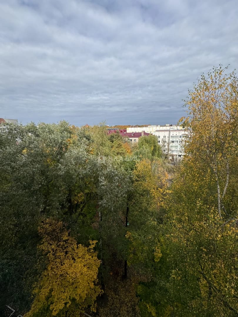 Photo 24